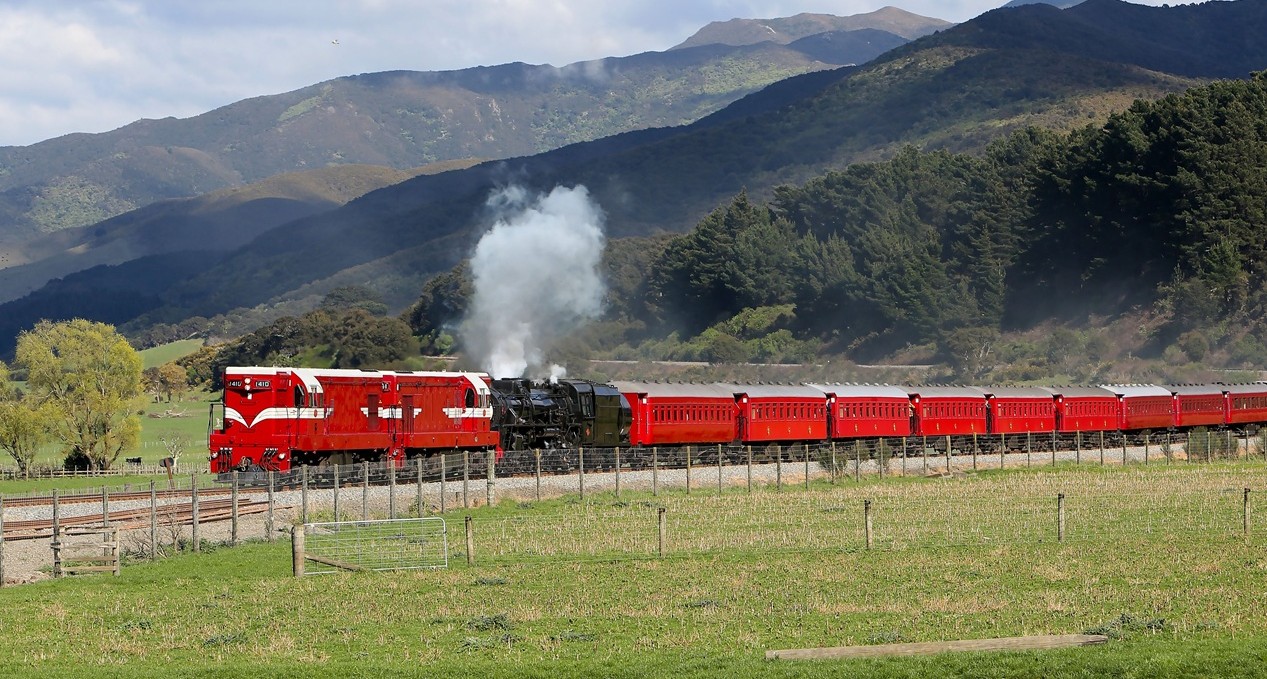 Daffodil Express 2025
