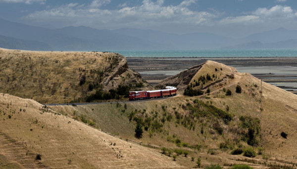 The Whale Train