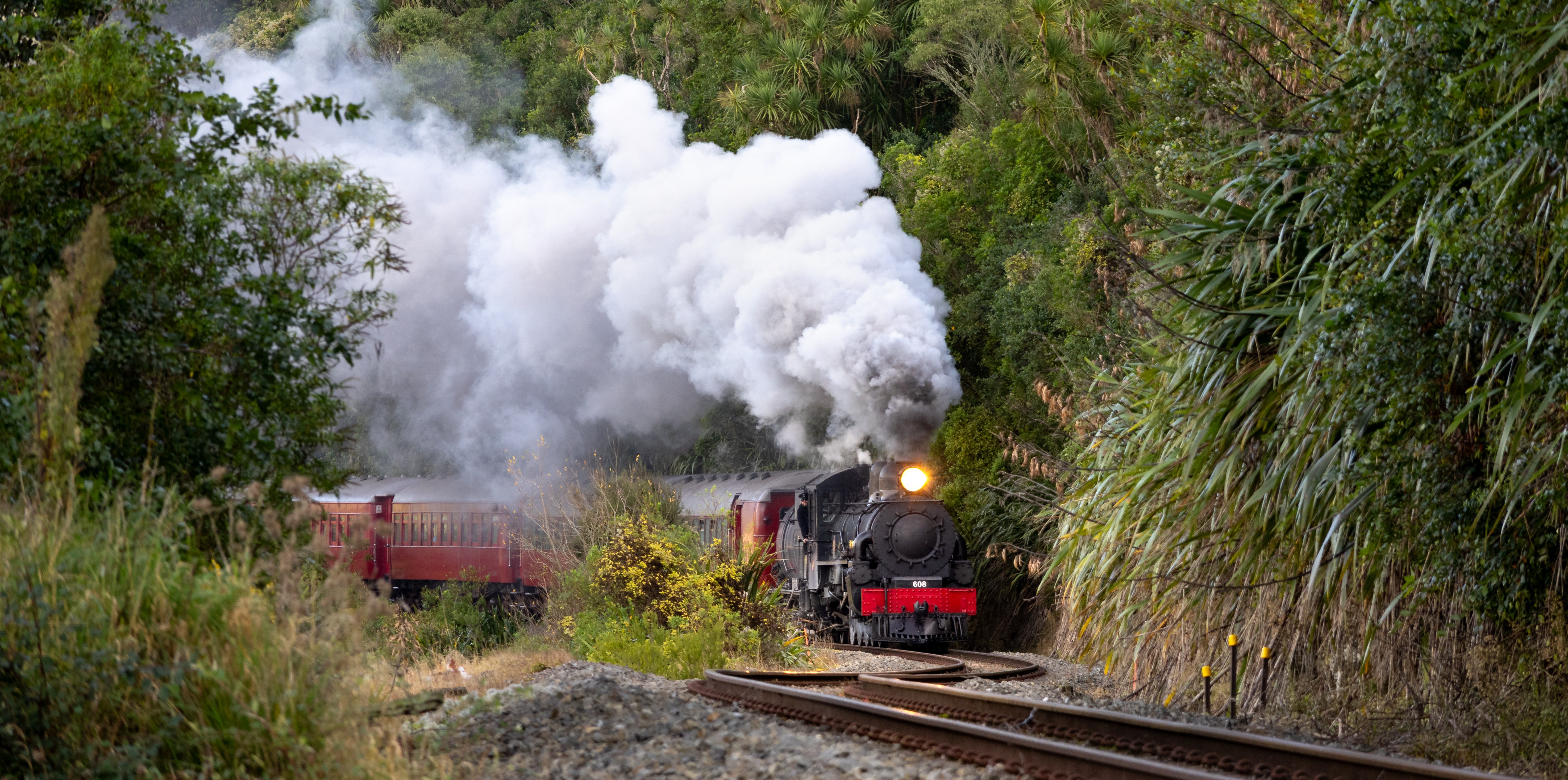 Woodville Steam Express