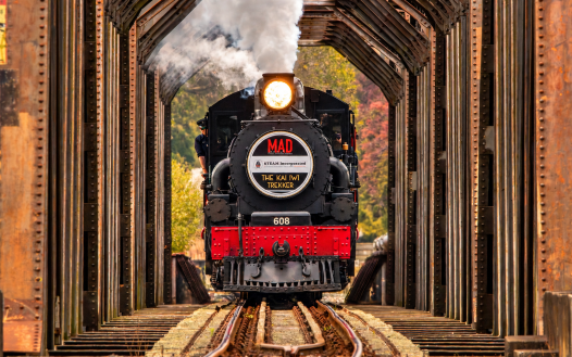 Whanganui Vintage Weekend | Trains