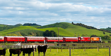 Explore Taranaki by Rail