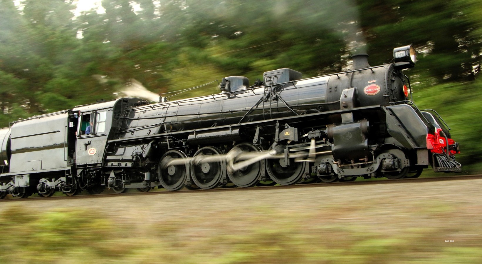 The Ashhurst Flyer