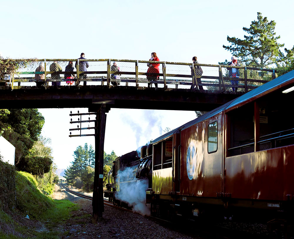 Tatum rail overbridge