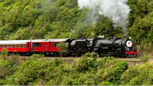 The Dementia Wellington Heartland Flyer