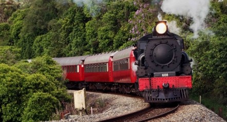 The Gumboot Day Express